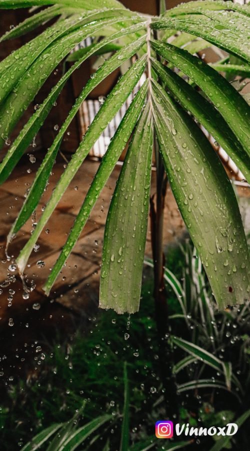 Foto Câmera Editada-3